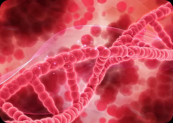 Causes of Blood Cancer