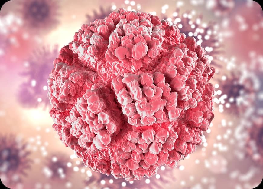 Causes of Mesothelioma Cancer