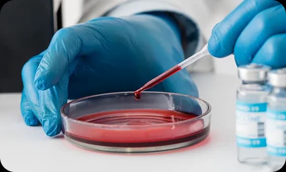 What Is Blood Cancer?