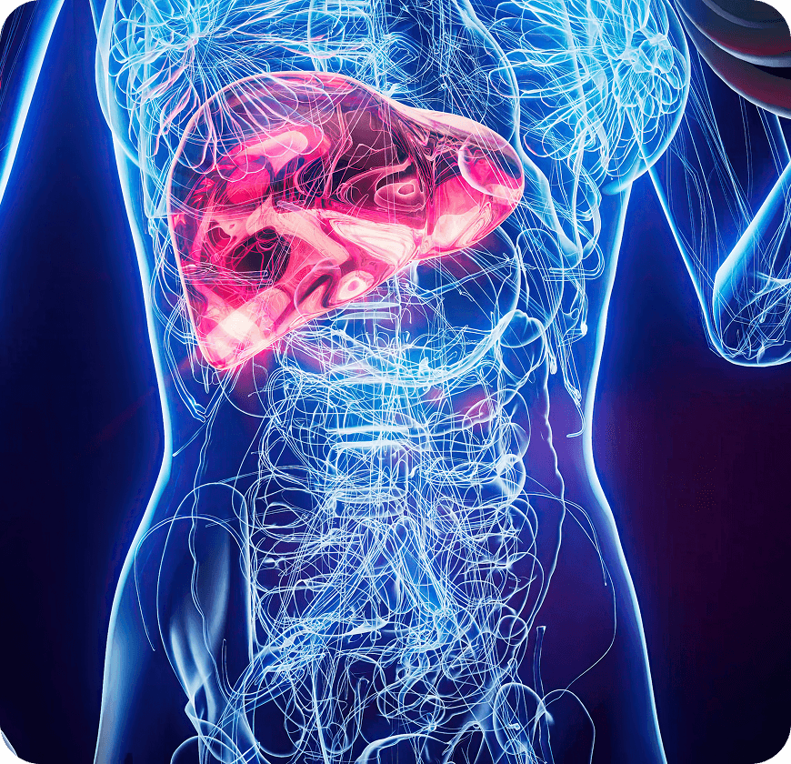 What Are The Causes And Risk Factors Of Gallbladder Cancer?