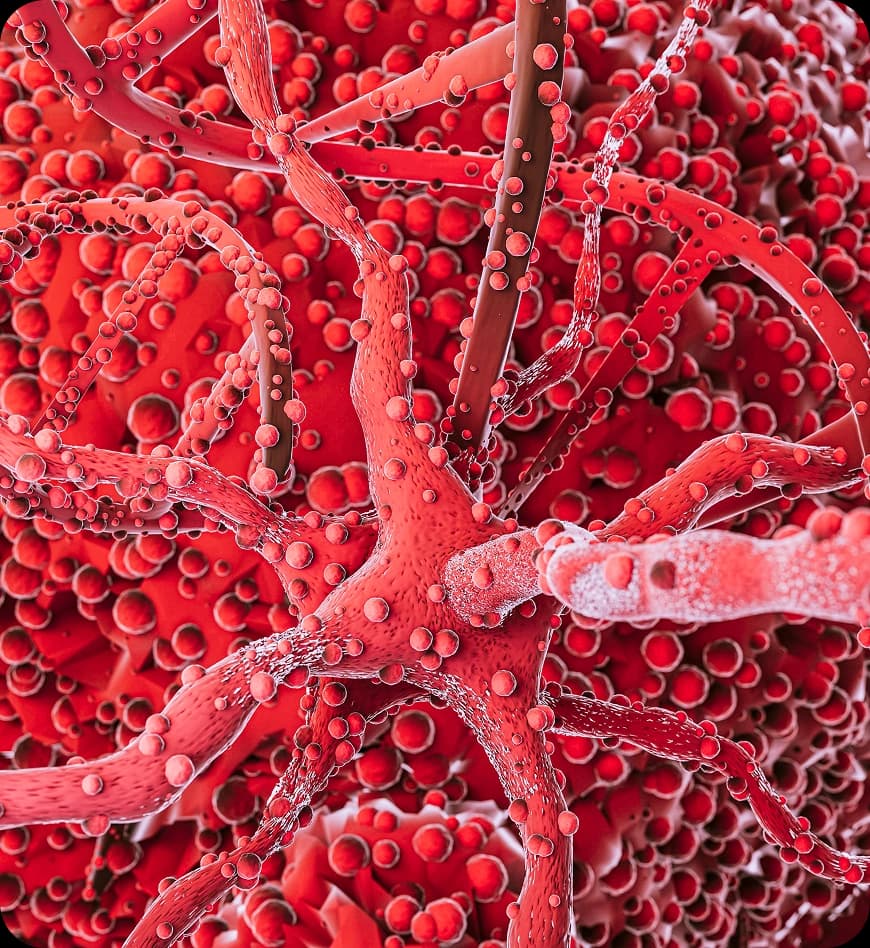 Stomach Cancer Stages Explained