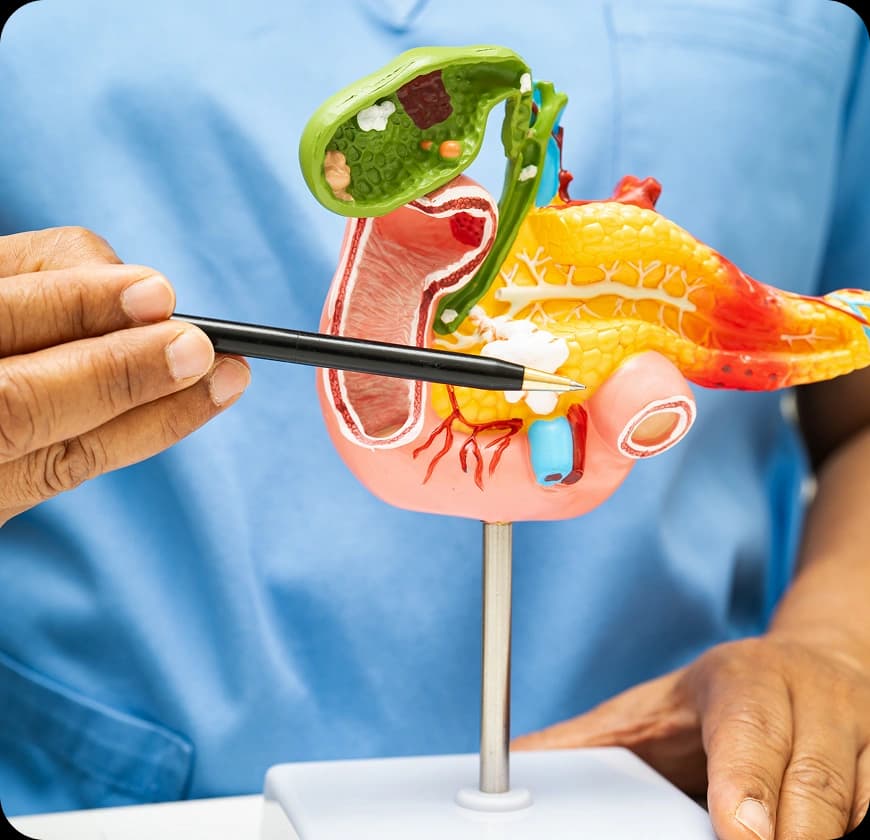 What Are the Symptoms of Gallbladder Cancer?