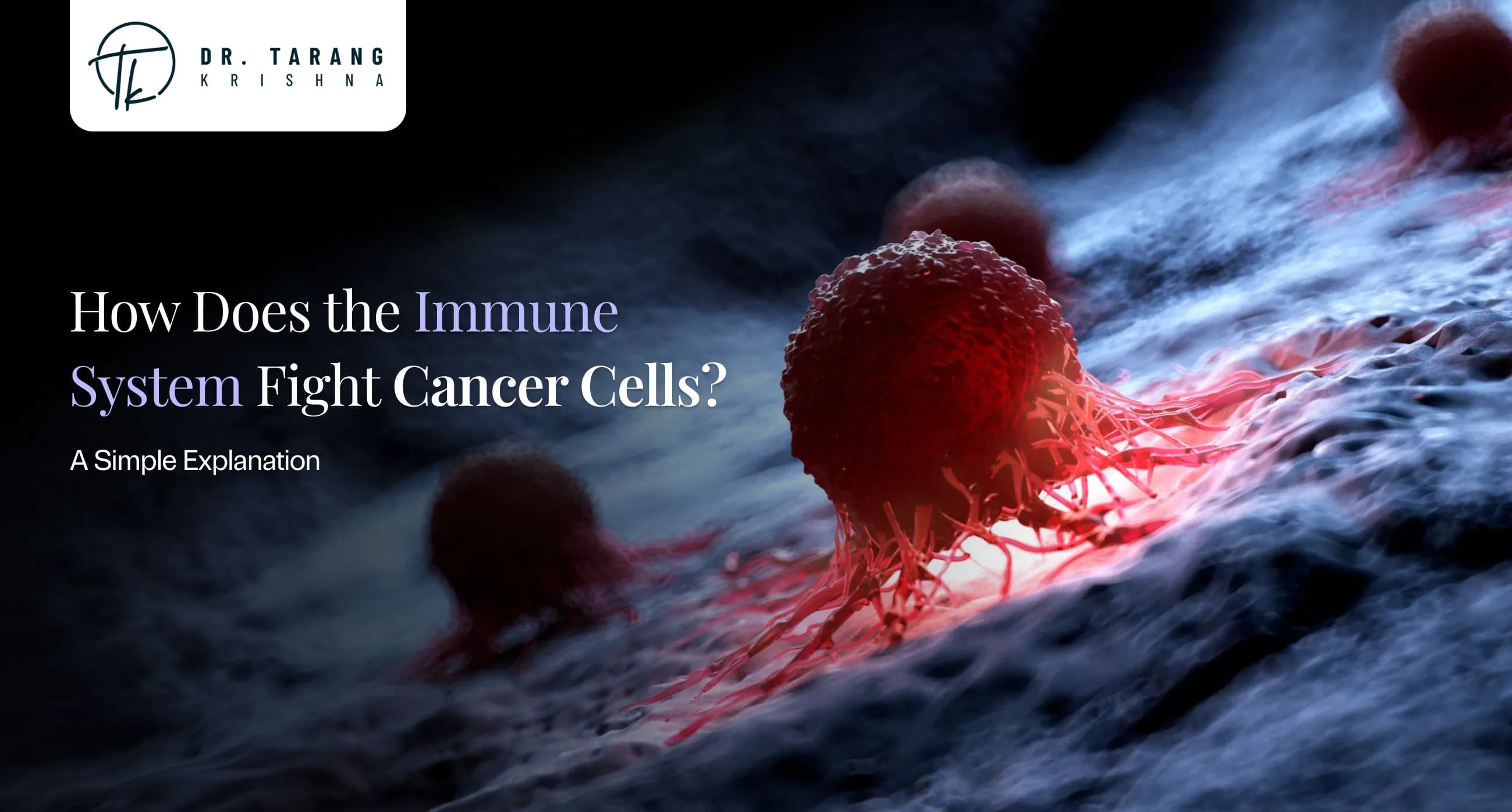 How Does the Immune System Fight Cancer Cells? A Simple Explanation
