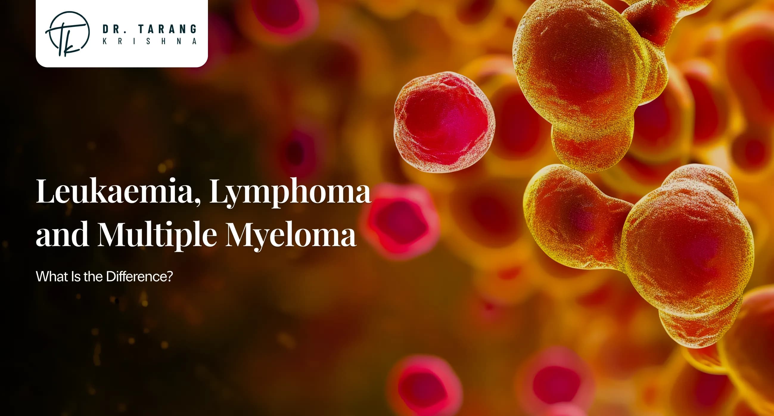 Leukaemia, Lymphoma and Multiple Myeloma