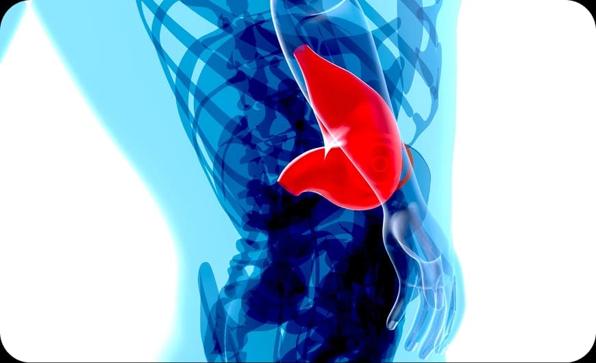 What Is Gallbladder Cancer?